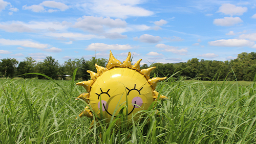 Summer Sun Safety Tips image